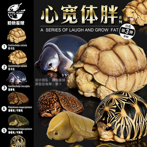现货动物星球心宽体胖系列乌龟球龟胖龟第3弹辐射陆龟猪鼻龟手办