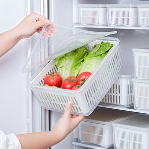 日本冰箱沥水收纳盒蔬菜保鲜盒食品级冷冻专用葱姜蒜沙拉隔水备菜