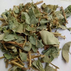 广西金钱草野生广金钱草500g克新鲜大叶金钱草干中药材铜钱草消石