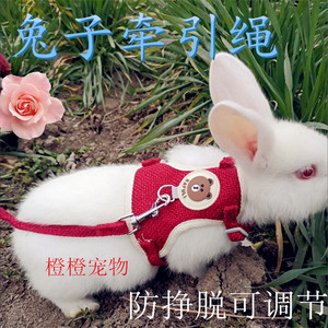 兔子牵引绳兔兔外出绳溜兔绳防挣脱可调节遛兔子绳遛猫绳宠物项圈
