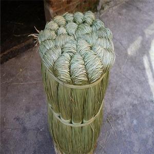 包粽子线用的线粽叶绳子编绳捆粽子绳棉线粽草水草天然扎肉线粽绳