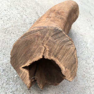 巴布亚贡木沉香手串摆件贡香木龙鳞玉化星暗夜星空原木料小料实木