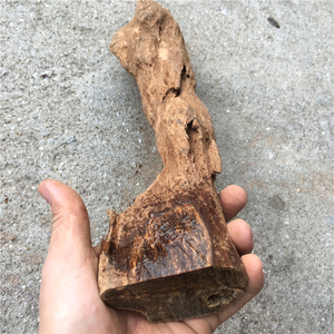 巴布亚贡木沉香手串摆件贡香木龙鳞玉化星暗夜星空原木料小料实木