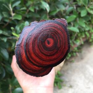 紫檀柳弹弓木料原木弹工贴片弓柄刀柄手球保健球对眼…16mm1