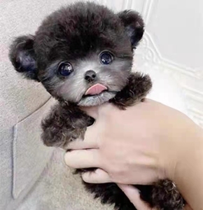 豭Ȯ_豭ȮͲ豭è_豭ȮǮ