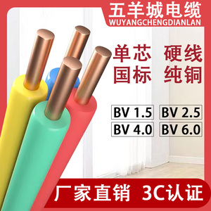 正品国标BV单股硬铜芯家装家用阻燃电线1/1.5/2.5/4/6/10平方纯铜