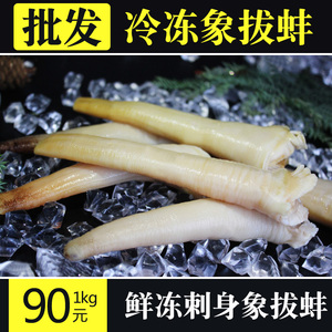 象拔蚌海鲜刺身日料食材象鼻蚌象牙棒蚌肉象伢冷冻特大象拨蚌头