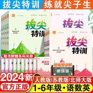 2024新版小学拔尖特训一年级二年级三四五六年级语文数学英语上册人教版全套小学生同步训练练习册北师苏教版译林版课时作业本下册