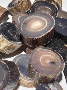 披毛犀角碎料珍贵药材泡酒冲水养身降压鱼子纹竹丝纹料送礼佳品