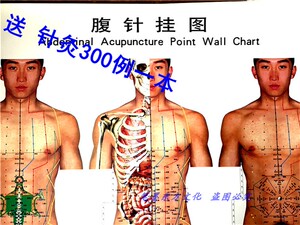 腹针挂图 含挂图 说明书 腹针疗法挂图 薄智云北京
