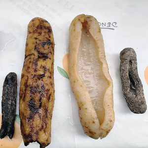 海参干货大海参纯淡干野生虎皮500g海参澳洲深海食用水产猪婆海参