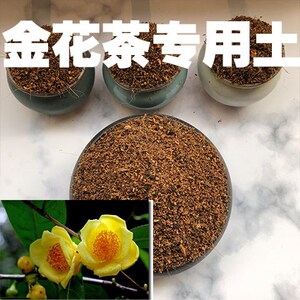 金花茶土金花茶专用土盆栽营养土酸性沙质泥炭土壤绿植种植土肥料