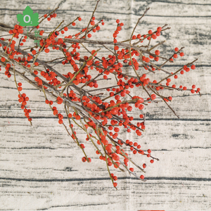 【北美冬青】真干花树枝红色浆果北欧插花元旦新年圣诞节日装饰品