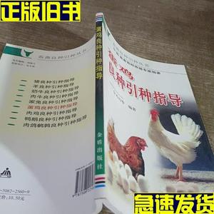 蛋鸡良种引种指导  金光钧