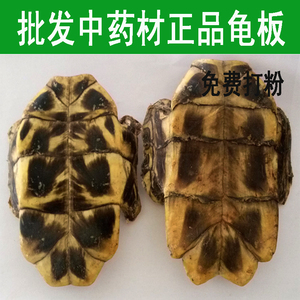 中药材龟板