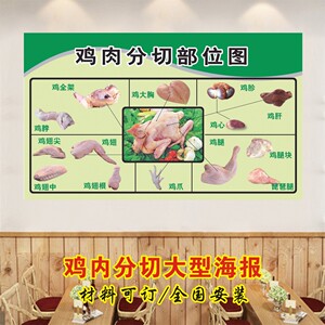 可定制家禽分割示意图鸡肉分切图海报贴画墙上鸡肉分解图部位图装