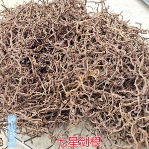江南星蕨根七星剑大叶骨牌草旋鸡尾根晒干中草药材七星凤尾草瓦苇