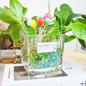 正方形玻璃花盆水培器皿绿萝花瓶植物瓶富贵竹绿植玻璃瓶水养方缸
