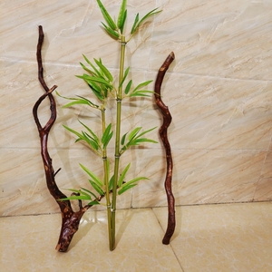 刺身海鲜姿造摆盘装饰天然树根枝根雕创意摆件仿真竹子造型青叶竹