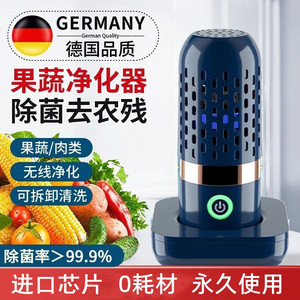 德国果蔬清洗机家用食材净化器水果蔬菜杀菌消毒除农残智能洗菜机
