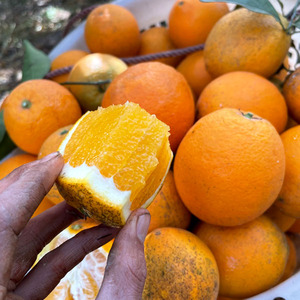 正宗赣南脐橙花皮果麻点油斑丑橙10斤20斤榨汁水果店现摘新鲜包邮