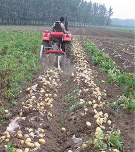 土豆收获机四轮拖拉机刨地瓜大小型挖马铃薯机器多功能红薯收割