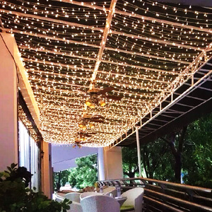 低压24v小彩灯闪灯串灯led满天星灯串户外防水工程亮化节庆装饰灯