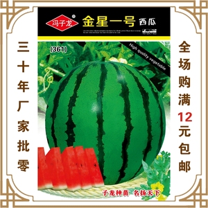 【西瓜种子】金星一号西瓜厂家直售批零阳台盆栽大田菜园基地包邮
