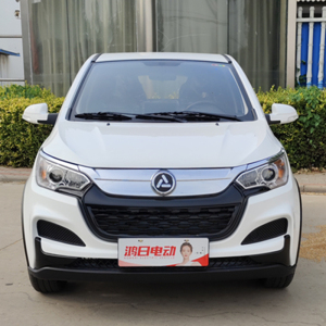 鸿日s1pro电动汽车油电两用家用低速四轮代步车接送孩子电轿爬坡