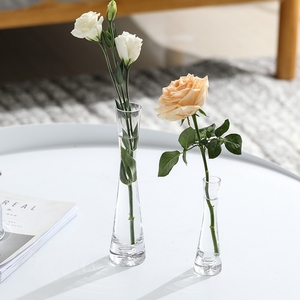 花瓶插花单支透明玻璃细口摆件迷你小口径一枝花轻奢高级感客厅矮