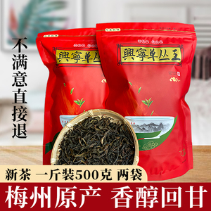 新茶广东梅州兴宁单枞王春茶客家特产单丛茶叶高山单丛茶浓香500g