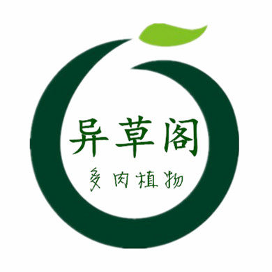 异草阁【青星美人】景天奇趣多肉植物叶尖一点红美观防辐射5cm