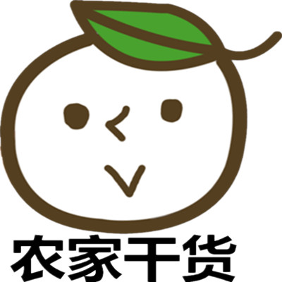 农家干货土特产批发店