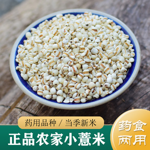薏米仁新货 农家小薏米500g 中药材薏苡仁炒薏米 赤小豆红豆薏米