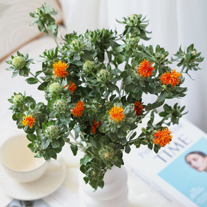 900人付款淘宝橙菠萝 菠萝菊鲜花家庭插花拍摄装饰可以做干花云南昆明