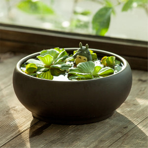 创意紫砂陶瓷小型古典鱼缸桌面生态造景微景观海藻球水陆鱼缸盆景