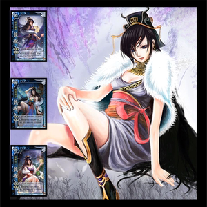 三国皮肤 自印卡 实体卡 甄姬 界甄姬 sp甄姬 全幅卡(1)