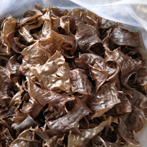 龙泉山珍果苦槠干丽水龙泉土特产高山新鲜食品干货250g