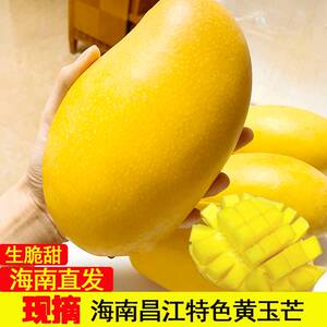 昌江芒果海南昌江特产水果当季新鲜特大黄玉芒果10斤礼盒装生吃酸
