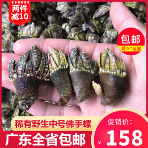 中大佛手螺鲜活特大鹅颈藤壶龟足贝海鲜海鸡脚螺狗爪螺鬼爪螺1斤
