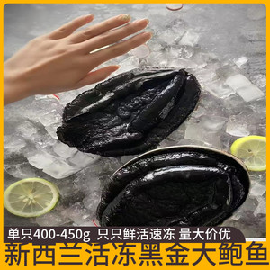 新西兰黑金鲍澳洲冷冻大鲍鱼500g-600g一只刺身高档海鲜顺丰包邮