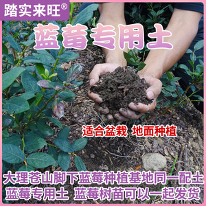 蓝莓专用土蓝莓种植土盆栽酸性营养土高原生态土壤发酵腐熟松树皮