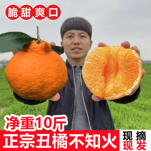 四川不知火丑橘子10斤新鲜水果当季整箱包邮丑八怪丑桔子丑柑耙耙