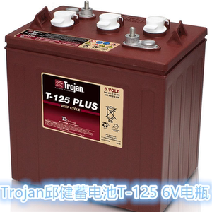 邱健蓄电池T-105T-125T-875T-1275 6v225ah益高观光车L16P-AC进口
