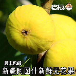 新疆阿图什新鲜黄皮无花果2斤巴叔新鲜水果孕妇健康果树上糖包子