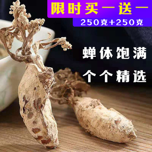 蝉花虫草粉