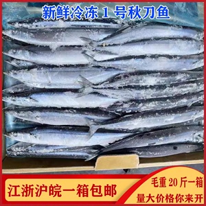 秋刀鱼20斤毛重整箱1号 新鲜冷冻特大号日式烧烤海鲜食材深海水产