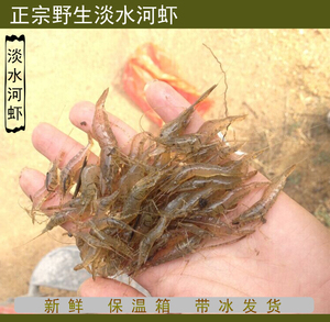 淡水河虾 新鲜野生小虾 正宗纯天然鲜活湖非虾干 500g 2斤包邮