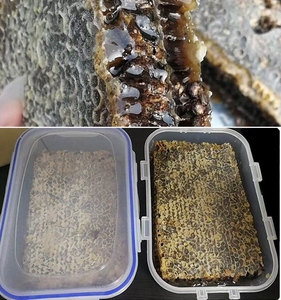 新疆黑蜂蜂巢蜜