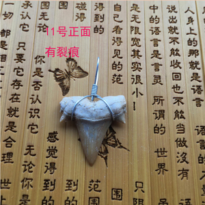 正宗黑赤鱬牙 可做吊坠石碑护身符 财富横财七杀格结印单独收费